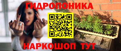 гидропоника Пушкино