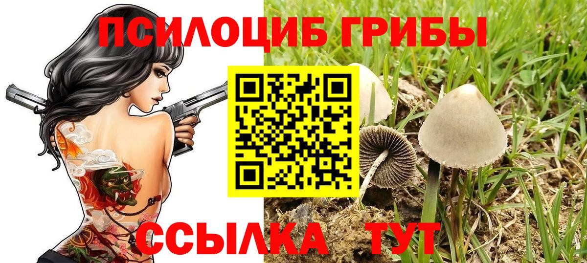 Псилоцибиновые грибы Magic Shrooms  наркошоп  Псилоцибиновые грибы GOLDEN TEACHER  Рузаевка  Вход с VPN 